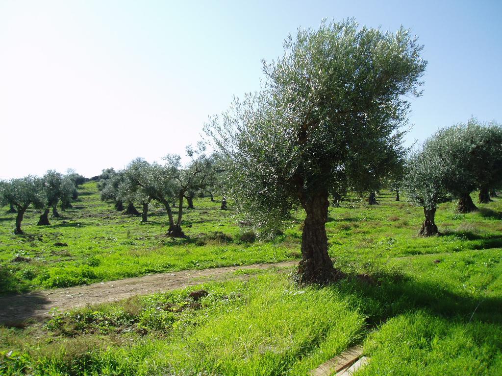 Casa Rural Ecologica Huerta Del Pirata Fuente de Cantos Εξωτερικό φωτογραφία