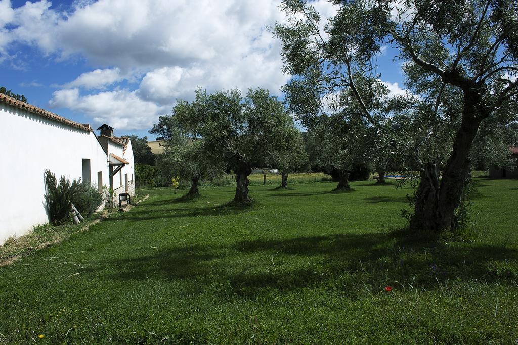 Casa Rural Ecologica Huerta Del Pirata Fuente de Cantos Εξωτερικό φωτογραφία